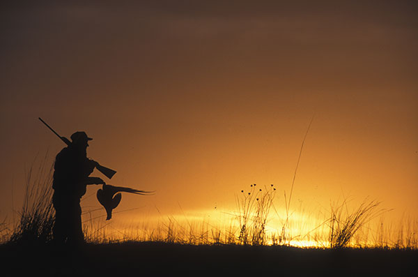 ABOUT BLACK HAWK COUNTY PHEASANTS FOREVER